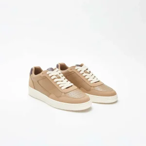 Baskets basses tricolores MARRON
